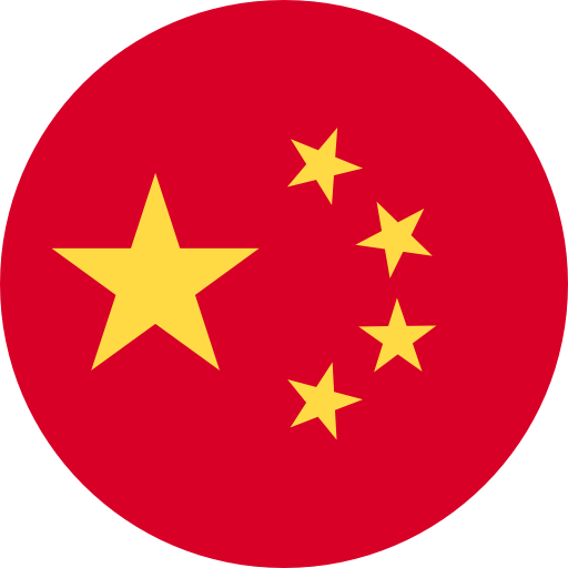 Çin Vizesi